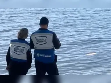 Imagem ilustrativa da imagem Corpo é encontrado na Baía de Guanabara; vídeo