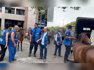 Garis trabalham na limpeza da parte do Camelódromo que não foi afetada