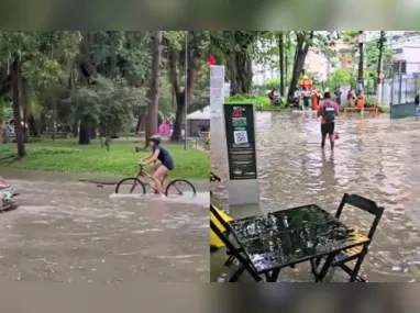 Imagem ilustrativa da imagem Veja como ficou o Campo de São Bento após o temporal em Niterói