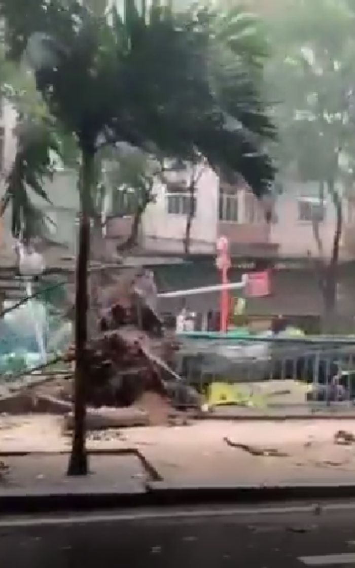 Árvore cai e praça fica destruída na Zona Sul do Rio; vídeo