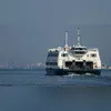 Licitação da CCR Barcas vai até o dia 11 de fevereiro de 2025