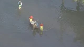 Imagem ilustrativa da imagem Agonia sem fim: Caxias debaixo d'água após rio transbordar