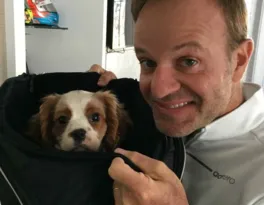 Imagem ilustrativa da imagem Cachorro de Barrichello morre após ingerir bitucas de cigarro