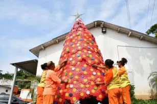 Imagem ilustrativa da imagem Clin monta árvore de Natal com mais de 17 mil tampinhas; vídeo