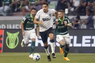 Imagem ilustrativa da imagem Com clima de final, Botafogo recebe o Palmeiras no Nilton Santos