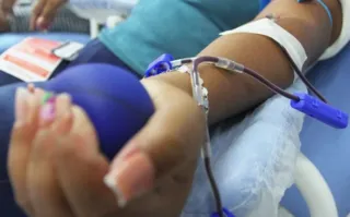 Imagem ilustrativa da imagem Com estoque vazio, Hemocentro de Niterói pede doação de sangue
