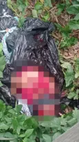 Imagem ilustrativa da imagem Corpo de mulher é encontrado amarrado em saco plástico em Itaboraí