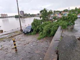 Imagem ilustrativa da imagem Fortes chuvas causam estragos no interior do Rio; veja vídeo