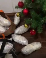 Imagem ilustrativa da imagem Natal recheado: mulher é presa com drogas em volta de árvore; vídeo