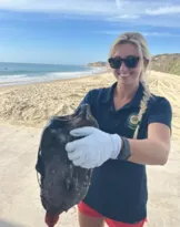 Imagem ilustrativa da imagem Peixe que vive nas profundezas do Pacífico é encontrado em praia