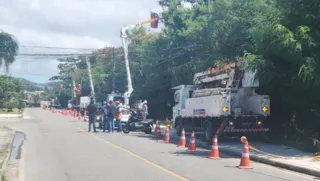 Imagem ilustrativa da imagem Poda preventiva de árvores é realizada em bairro de Niterói