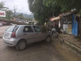 Imagem ilustrativa da imagem Poste cai sobre carro e moto na Região Oceânica de Niterói; vídeo