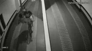 Imagem ilustrativa da imagem Presos criminosos que roubavam bicicletas em Niterói