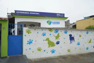 Imagem ilustrativa da imagem São Gonçalo abre agendamento para castração de cães e gatos