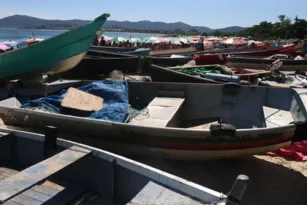 Imagem ilustrativa da imagem Secura do Canal de Itaipu prejudica pescadores de Niterói