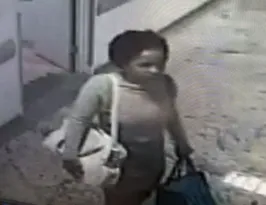 Imagem ilustrativa da imagem Suspeita de levar bebê entrou por varanda de quarto vazio; vídeo