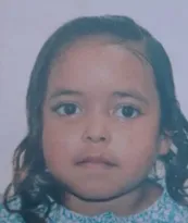Imagem ilustrativa da imagem Suspeito de desaparecimento de criança de 4 anos no Rio é preso