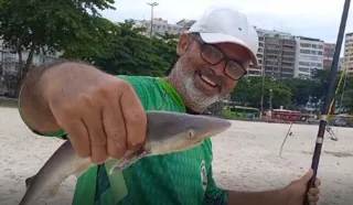Imagem ilustrativa da imagem Tubarão em Icaraí? Pescador fisga predador na praia; vídeo