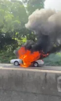 Imagem ilustrativa da imagem Vídeo: carro pega fogo e complica o trânsito na RJ-104, em SG