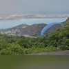 Imagem ilustrativa da imagem Acidente em Niterói: dupla cai de parapente nas árvores; veja vídeo
