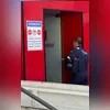 Árvore de pequeno porte derrubada no local