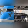 Imagem ilustrativa da imagem Avião é atingido por aves e faz pouso de emergência