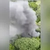 Deise Moura estava sozinha na cela no momento do ocorrido
