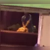 Cena foi filmada durante ensaio técnico