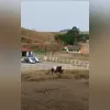 Dois autores foram mortos e três armas de fogo foram apreendidas