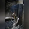 Cada tutor pode cadastrar apenas um animal por mês, segundo a Prefeitura