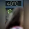 Pets também ganham refresco no calor carioca