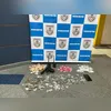 Prisão do homem foi feita por agentes da 31ª DP (Anchieta)