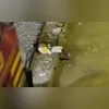 Criminosos aguardaram o local fechar para realizar o furto