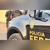 Cadelinha Mia é encontrada enterrada no quintal da casa do adestrador