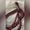 Imagem ilustrativa da imagem Homem passa mal e vomita cobra após bebedeira