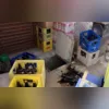 Animais foram encontradas em diversas praias do litoral paulista