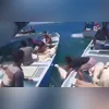Imagem ilustrativa da imagem Navio lotado de ovelhas naufraga e mais de 100 morrem afogadas