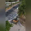 Lincoln está desaparecido desde a manhã de sábado (15)