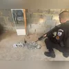 O padrasto foi preso e levado para a delegacia de Campos