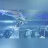 Imagem ilustrativa da imagem Peixe gigante 'engole' cabeça de mulher sereia; vídeo é assustador