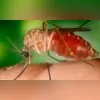 Quatro pessoas morreram no Rio de Janeiro e uma no Espírito Santo
