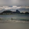 Niterói oferece consulta veterinária gratuita a cães e gatos em parceria com a UFF
