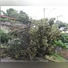 Os locais de aplicação são definidos onde tem maiores notificações da dengue