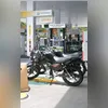 A criação de búfalos em São Gonçalo