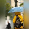 Demais linhas seguem com operações normais