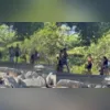 Alçapão em que a menina foi encontrada