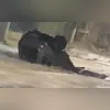 Imagem ilustrativa da imagem Temporal em Itaboraí: carro fica de 'cabeça para baixo' e casas alagadas