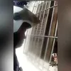 Materiais recuperados pela Polícia Militar