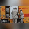 Pássaros foram encontrados sem número de origem e identificação
