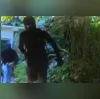 Imagem ilustrativa da imagem Vídeo mostra invasão à casa do presidente do Botafogo